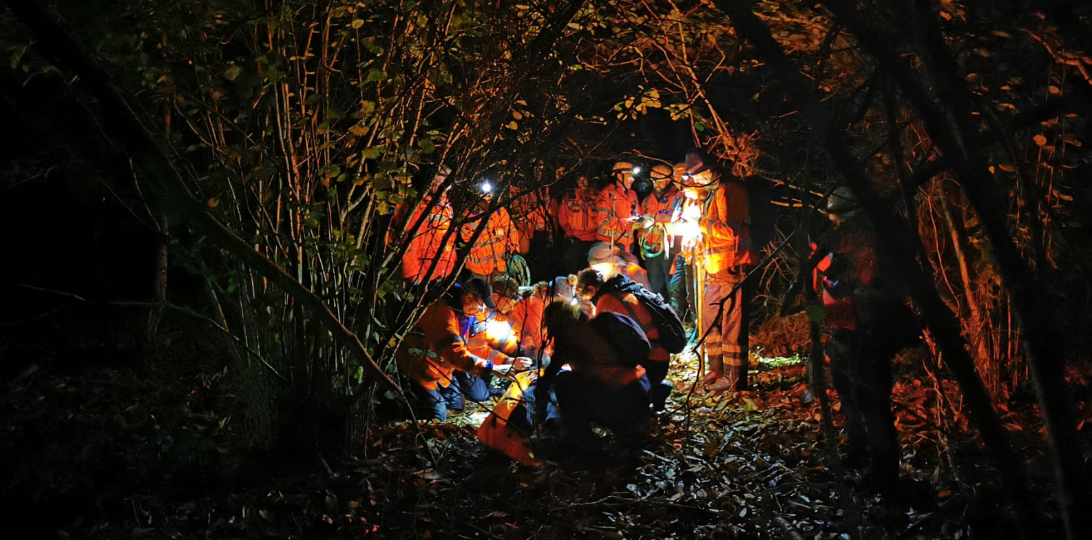 Searchers in the woods at night